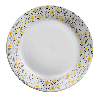 Alb/Galben, Farfurie intinsa