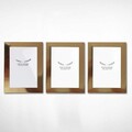 Set 3 rame foto, 3IAFC1022_1521, Plastic, Auriu
