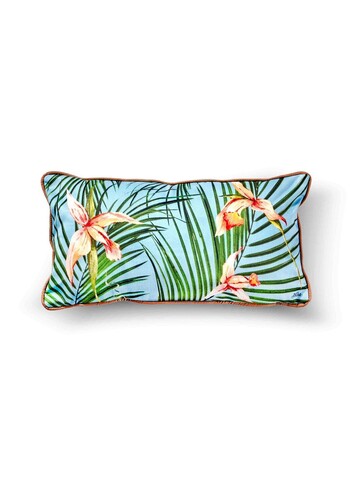 Perna, YST0070, Multicolor
