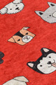Covor, Osso, 60x100 cm, Multicolor