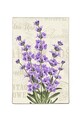 Covor, Lavender Djt, 80x120 cm, Multicolor