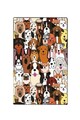 Covor, Hond, 80x150 cm, Multicolor