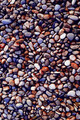 Covor, Wookece188, 50x80 cm, Multicolor