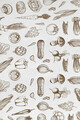 Covor, Wookece213, 50x80 cm, Multicolor