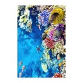 Covor, Wookece166, 60x100 cm, Multicolor
