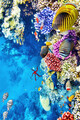 Covor, Wookece166, 60x100 cm, Multicolor