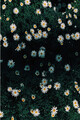 Covor, Wookece187, 60x100 cm, Multicolor