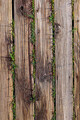 Covor, Wookece221, 60x100 cm, Multicolor