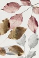 Covor, Hmnt779, 60x100 cm, Multicolor
