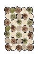 Covor, HMNT967, 120x180 cm, Poliester, Multicolor