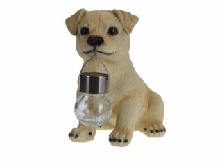 Labrador