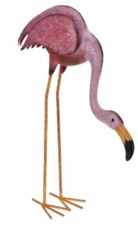 Flamingo curbat
