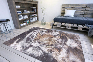 230x330 cm, Multicolor