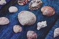 Covoras de baie, L'essentiel Maison, Seashell (80 x 100), 80x100 cm, Multicolor