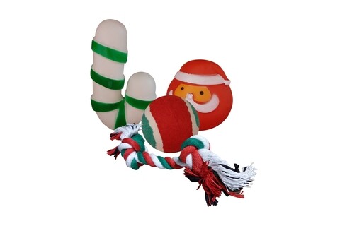 Set 4 jucarii pentru catei Xmas, multicolor