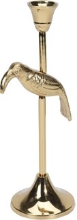 Auriu, Toucan