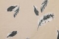 Lenjerie de pat dubla, L'essentiel Maison, Feather, Crem / Gri