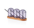 Set recipiente pentru condimente cu suport, Hermia, 619PLS1154, Dimensiune borcan: 7 x 7 x 12 cm / 275 ml (3 bucăți), Maro/Mov