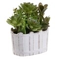 Planta decorativa Succulent, InArt, 16 x 12 x 8 cm, plastic, alb/verde