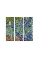 Tablou decorativ MDF, MDF452826808, 20 x 50 cm, 3 piese, Multicolor