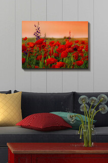 50x70 cm, Multicolor