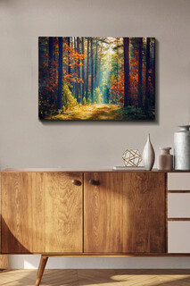50x70 cm, Multicolor