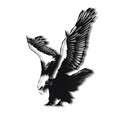 Decoratiune de perete, Eagle, Metal, Dimensiune: 52 x 40 cm, Negru