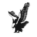 Decoratiune de perete, Eagle, Metal, Dimensiune: 52 x 40 cm, Negru