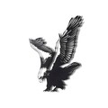 Decoratiune de perete, Eagle, Metal, Dimensiune: 52 x 40 cm, Negru