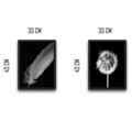 Set 2 tablouri decorative, Dandelion Feather Set, PAL, Hartie, Multicolor