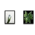 Set 2 tablouri decorative, Green Touch Set, PAL, Hartie, Multicolor