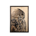 Tablou decorativ, Owl, Lemn, Lemn, Multicolor