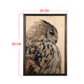 Tablou decorativ, Owl, Lemn, Lemn, Multicolor