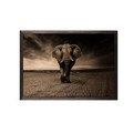 Tablou decorativ, Strong Elephant, Lemn, Lemn, Multicolor