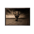Tablou decorativ, Strong Elephant XL, Lemn, Lemn, Multicolor
