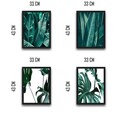 Set 4 tablouri decorative, Leaf Set, PAL, Hartie, Multicolor