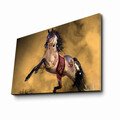 Tablou decorativ, 4570NTVC-4, Dimensiune: 45 x 70 cm, Multicolor