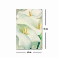 Tablou decorativ, FAMOUSART-028, Dimensiune: 45 x 70 cm, Multicolor