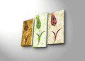 Tablou decorativ, 3PATK-82, 100% SUEDE CANVAS / Size: 20 x 39 cm (2 Pieces) / 20 x 45 cm (1 Piece) / Total Size: 66 x 45 cm / Frame: 100% Wooden (Thickness: 3 cm), Multicolor