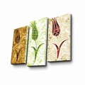 Tablou decorativ, 3PATK-82, 100% SUEDE CANVAS / Size: 20 x 39 cm (2 Pieces) / 20 x 45 cm (1 Piece) / Total Size: 66 x 45 cm / Frame: 100% Wooden (Thickness: 3 cm), Multicolor