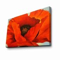 Tablou decorativ, 70100FAMOUSART-047, PÂNZĂ 100% PIELE ÎNTOARSĂ / Dimensiune: 70 x 100 cm / Rama: 100% Lemn (Grosime: 3 cm), Multicolor