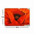 Tablou decorativ, 70100FAMOUSART-047, PÂNZĂ 100% PIELE ÎNTOARSĂ / Dimensiune: 70 x 100 cm / Rama: 100% Lemn (Grosime: 3 cm), Multicolor