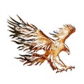 Decoratiune de perete, Eagle 2, Metal, Dimensiune: 71 x 63 cm, Multicolor