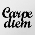 Decoratiune de perete, Carpediem 1, metal, 50 x 38 cm, negru