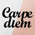 Decoratiune de perete, Carpediem 1, metal, 50 x 38 cm, negru