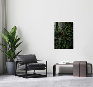 30x45 cm, Multicolor