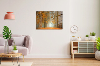 30x45 cm, Multicolor