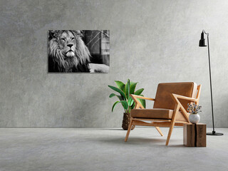 45x65 cm, Multicolor