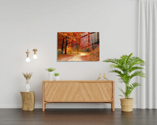 45x65 cm, Multicolor