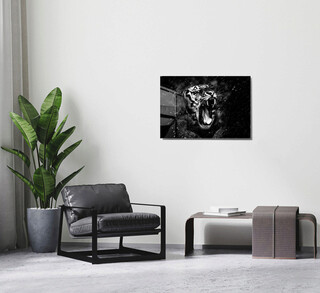 45x65 cm, Multicolor